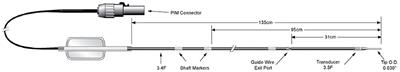 Intravascular Ultrasound in the Endovascular Treatment of Patients With Peripheral Arterial Disease: Current Role and Future Perspectives